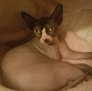 Meet your Posher, Amy